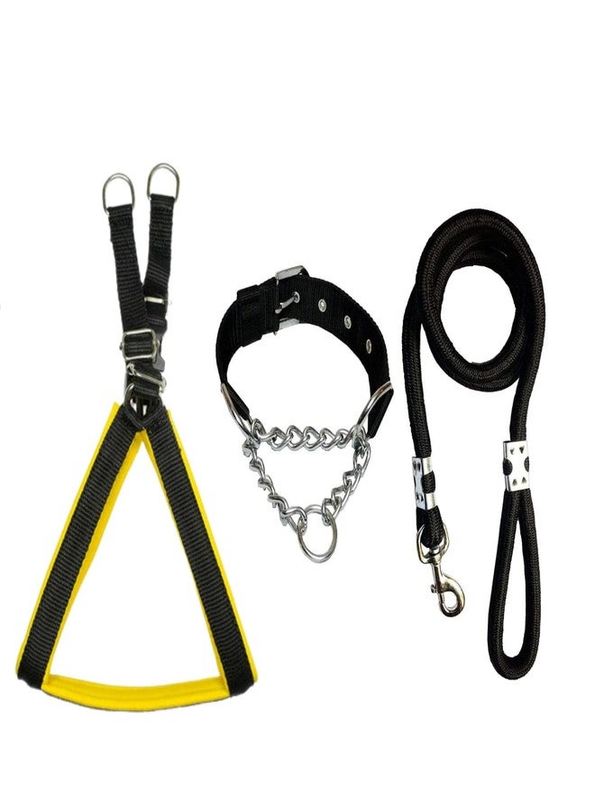 KittuPet طقم طوق خنق للكلاب من الفولاذ المقاوم للصدأ عالي الجودة من KittuPet، مصنوع من النايلون، سهل التحكم، مزود بمشبك، وحزام صدر للكلاب، وحبل تدريب متين منسوج يدويًا. (مقاس صغير جدًا، أسود-أصفر) - Image 1